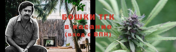мескалин Каменка