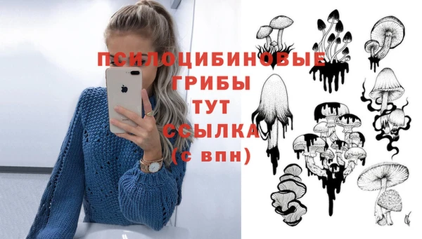 мескалин Каменка