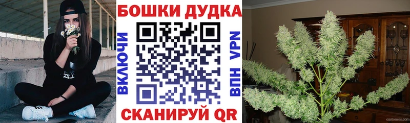 Купить где  Лодейное Поле  Марихуана MAZAR 